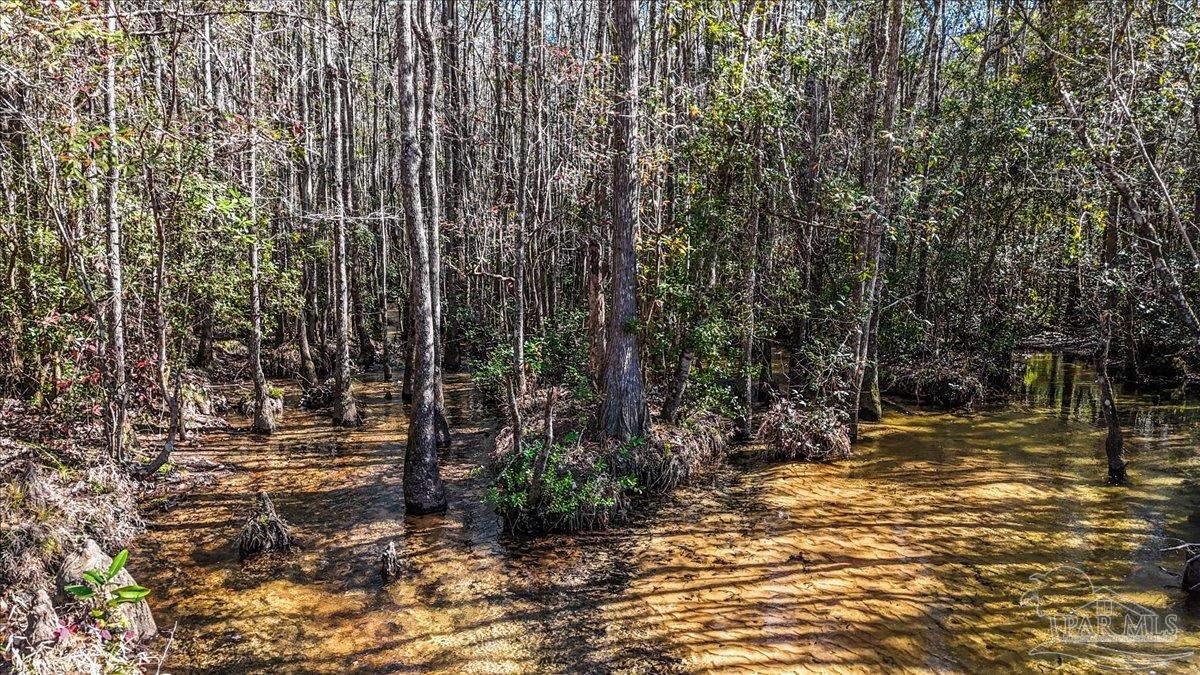 8340 Gin Road Milton, FL 32571 - Photo 13 of 24