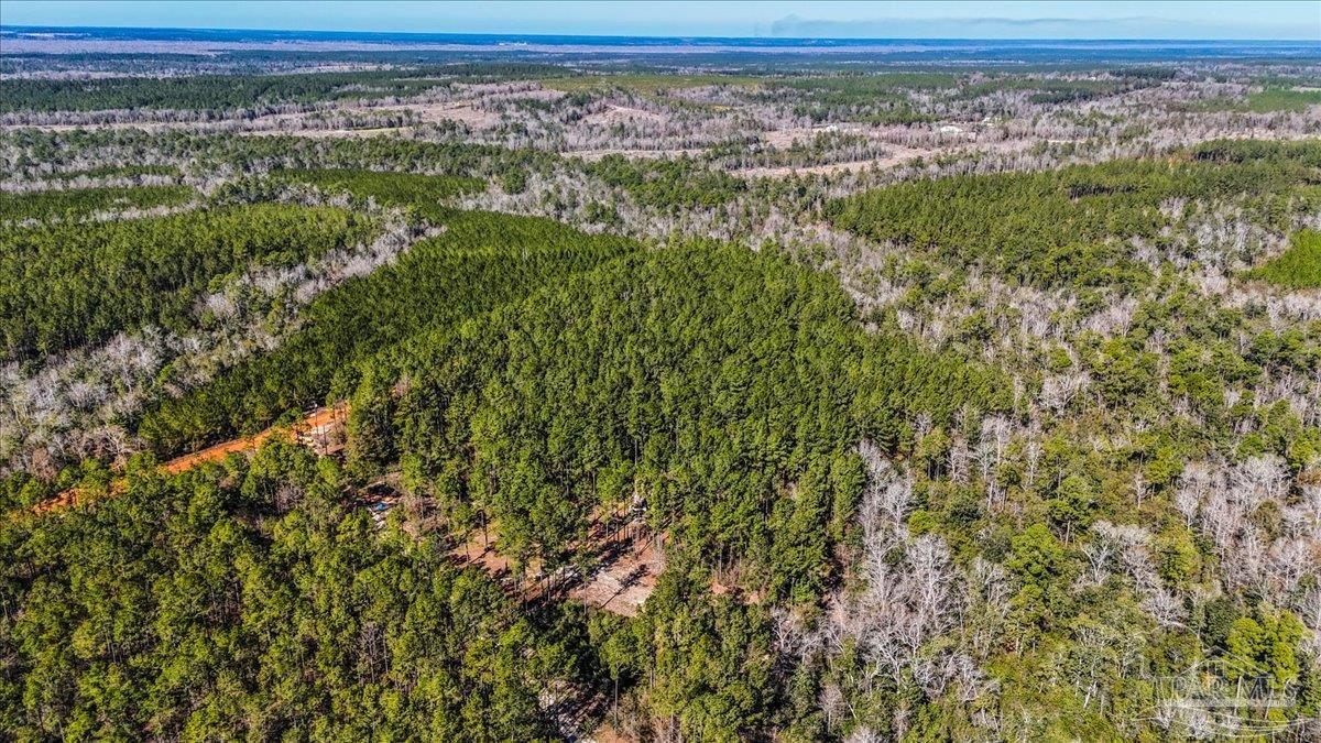 8340 Gin Road Milton, FL 32571 - Photo 2 of 24