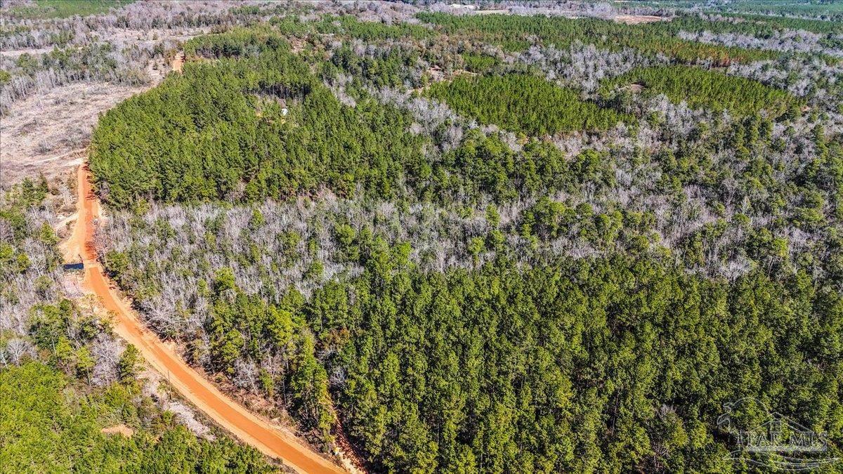 8340 Gin Road Milton, FL 32571 - Photo 6 of 24