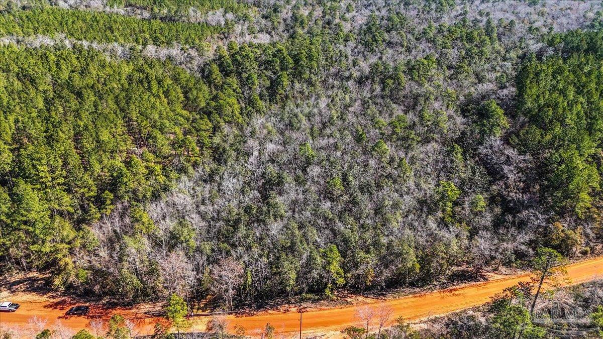 8340 Gin Road Milton, FL 32571 - Photo 9 of 24