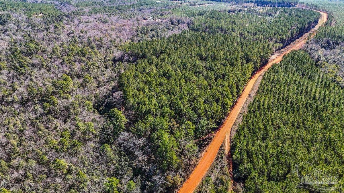 8340 Gin Road Milton, FL 32571 - Photo 10 of 24