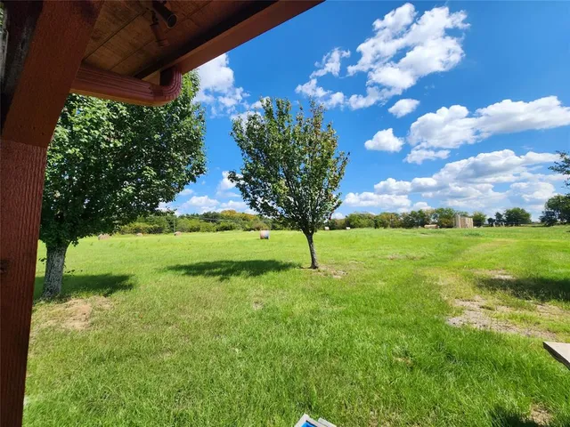 a view of a tree with a yard