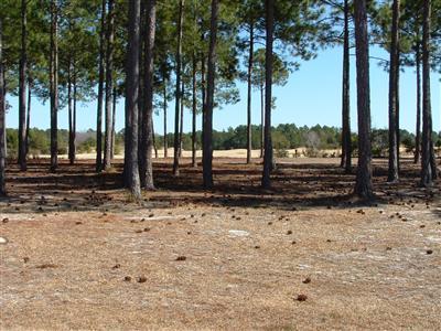 910 Strathaven Lane Sunset Beach, NC 28468 - Photo 1 of 12 Primary Photo