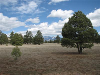 2770 Government Prairie Road Parks, AZ 86018 - Photo 5 of 24 Additional Photo