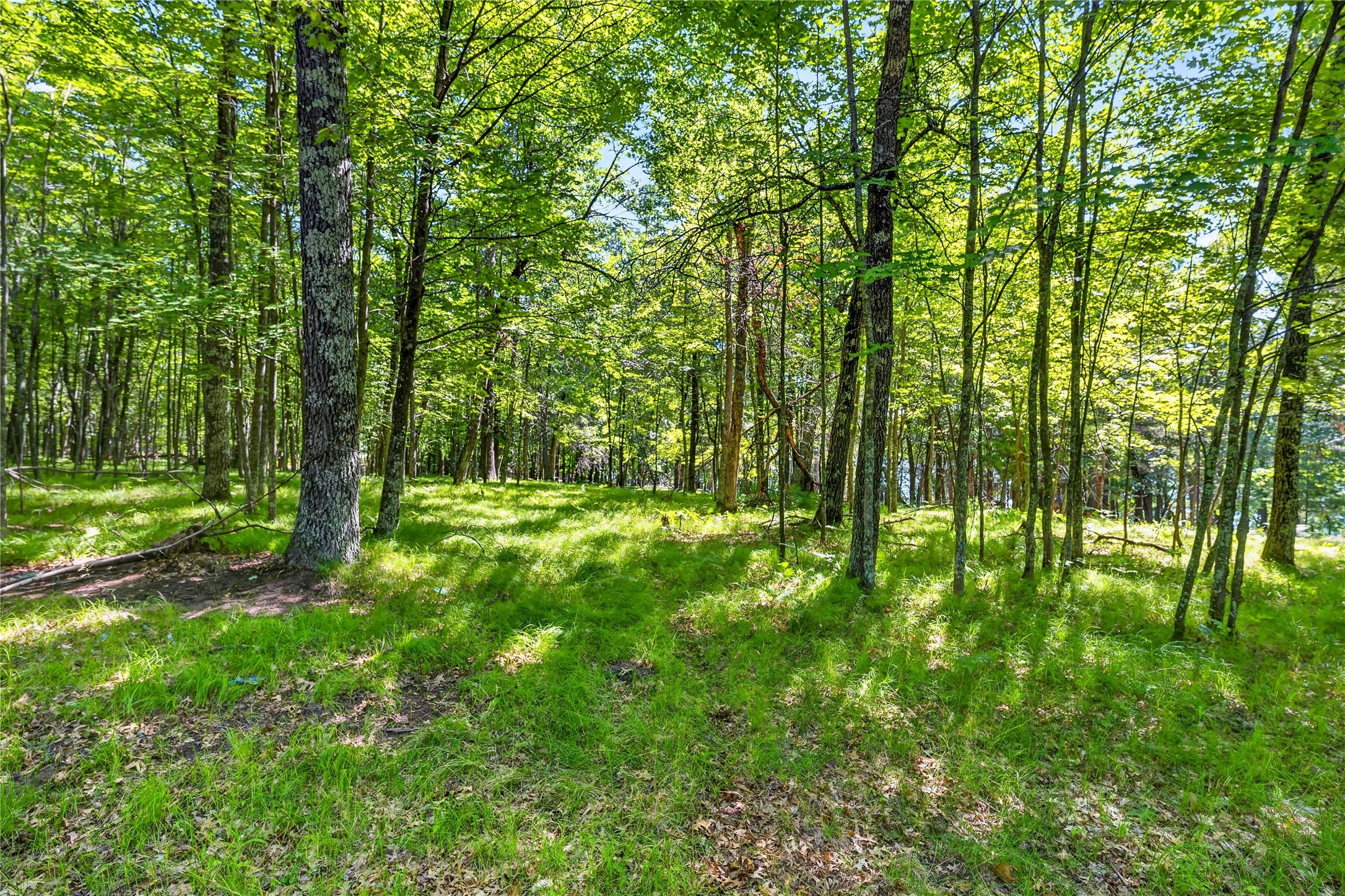 51260 Birch Lake Road Barnes, WI 54873 - Photo 16 of 24 Gallery Image 16