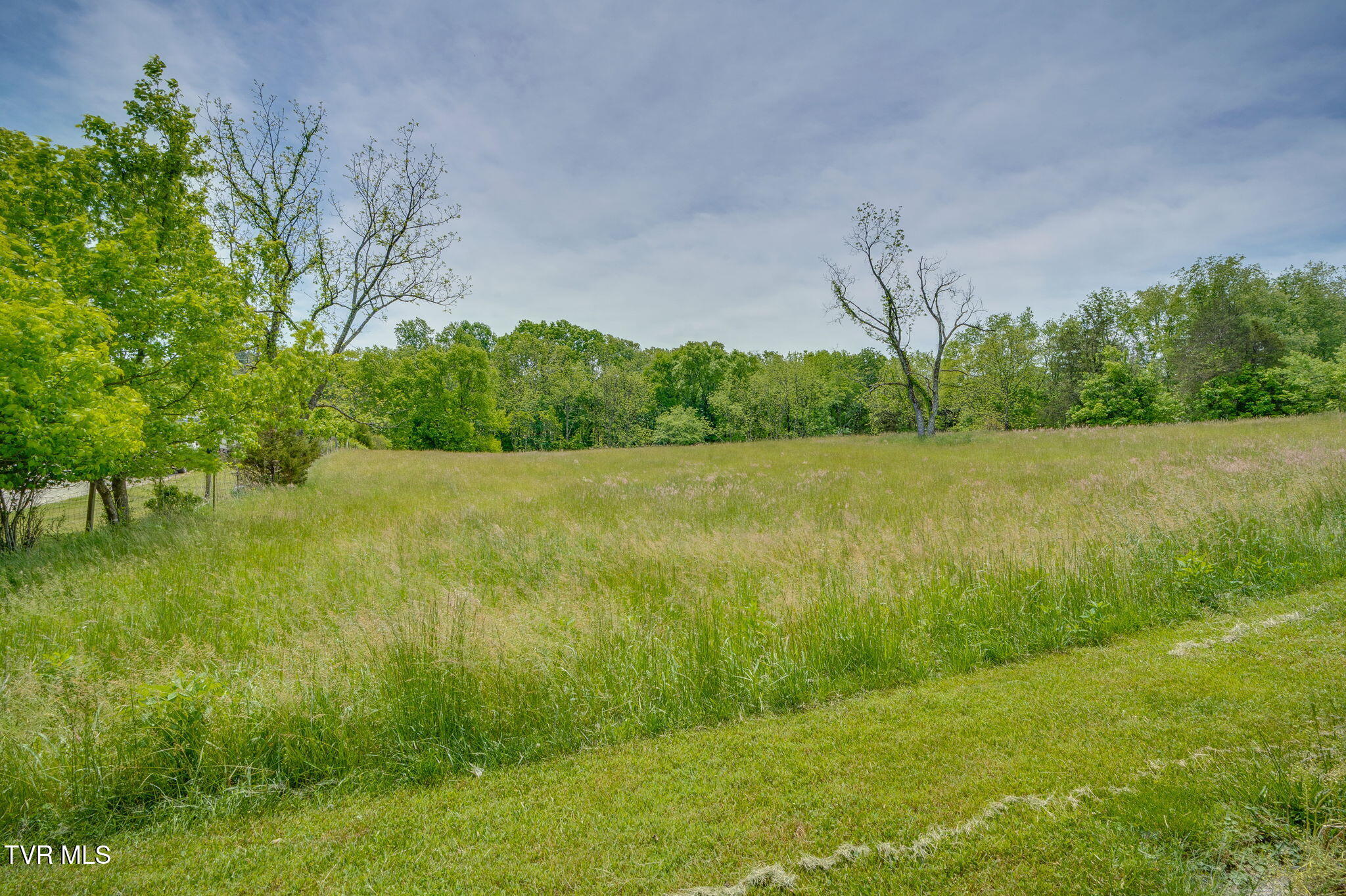397 Buncombe Road Blountville, TN 37617 - Photo 40 of 49 040