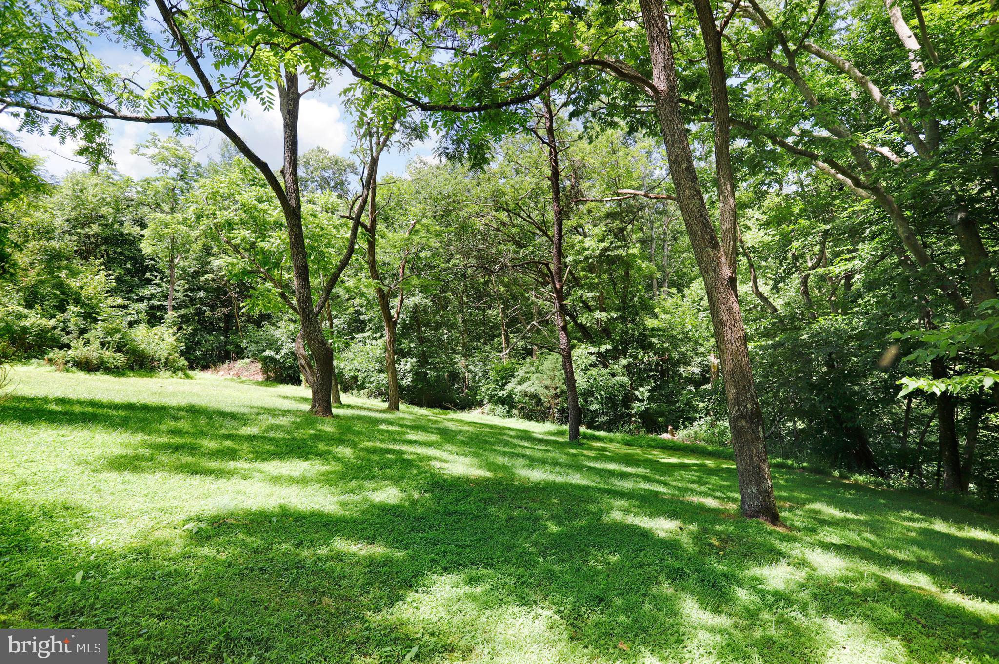 13286 Mummert Road Clear Spring, MD 21722 - Photo 40 of 46 Gallery Image 40