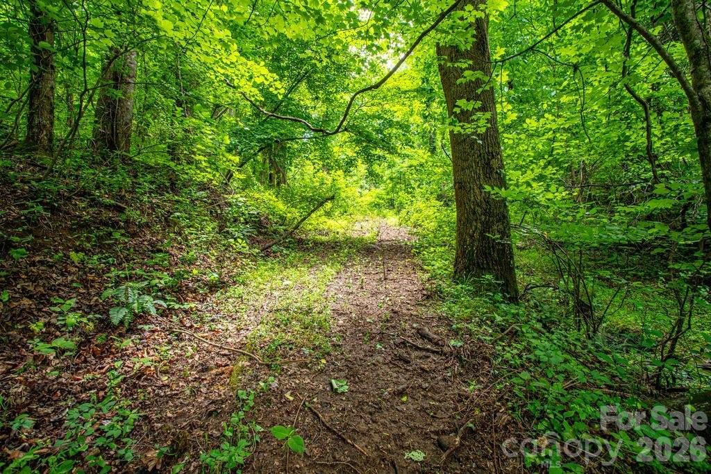 9999 Sandy Mush Creek Road Leicester, NC 28748 - Photo 6 of 9