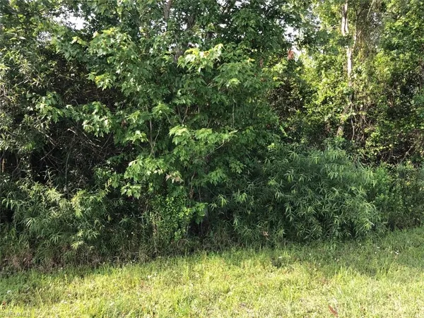 a view of a yard