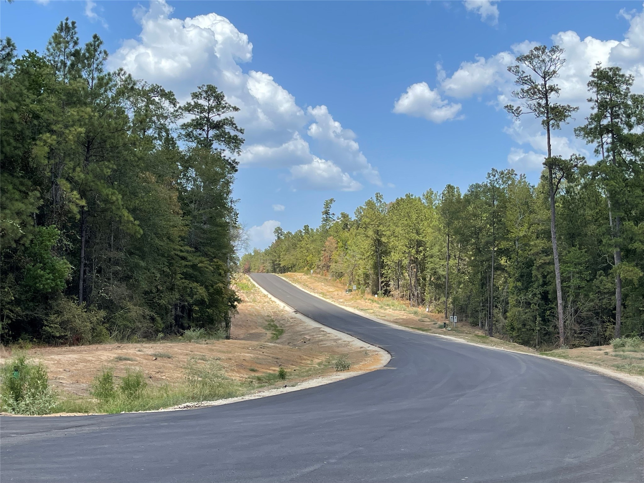 284 Iron Horse Road New Waverly, TX 77358 - Photo 13 of 15 a view of a yard in a house