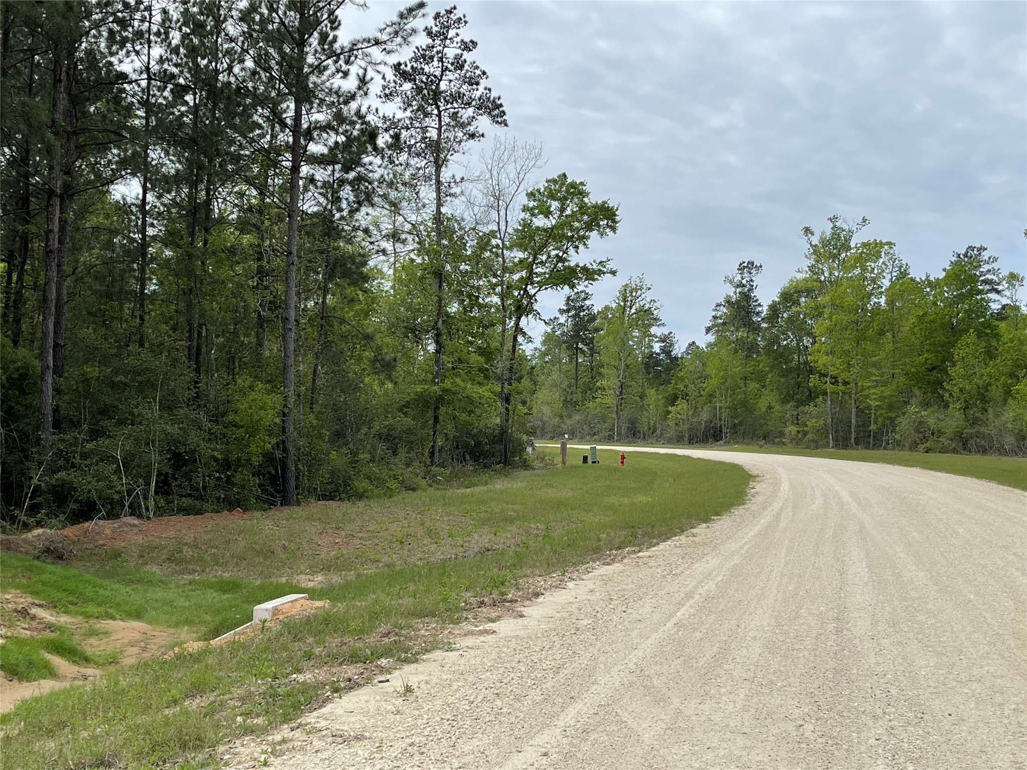 284 Iron Horse Road New Waverly, TX 77358 - Photo 6 of 15 a view of a backyard