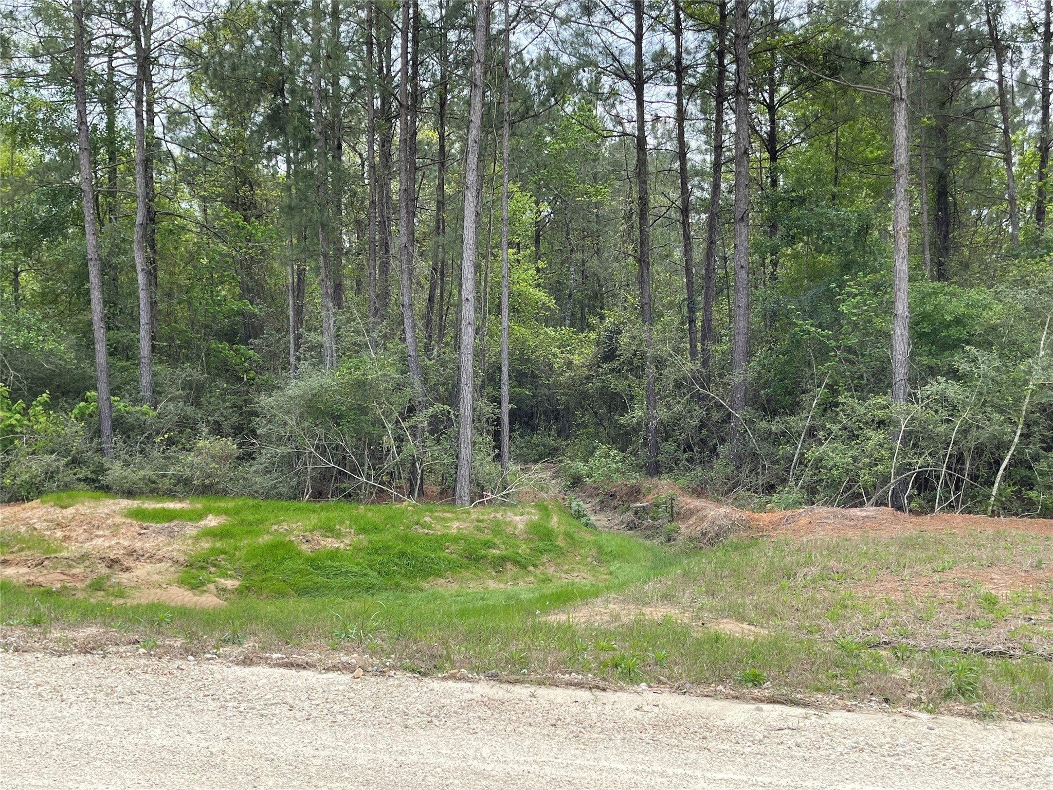 284 Iron Horse Road New Waverly, TX 77358 - Photo 8 of 15 a view of a yard with a trees