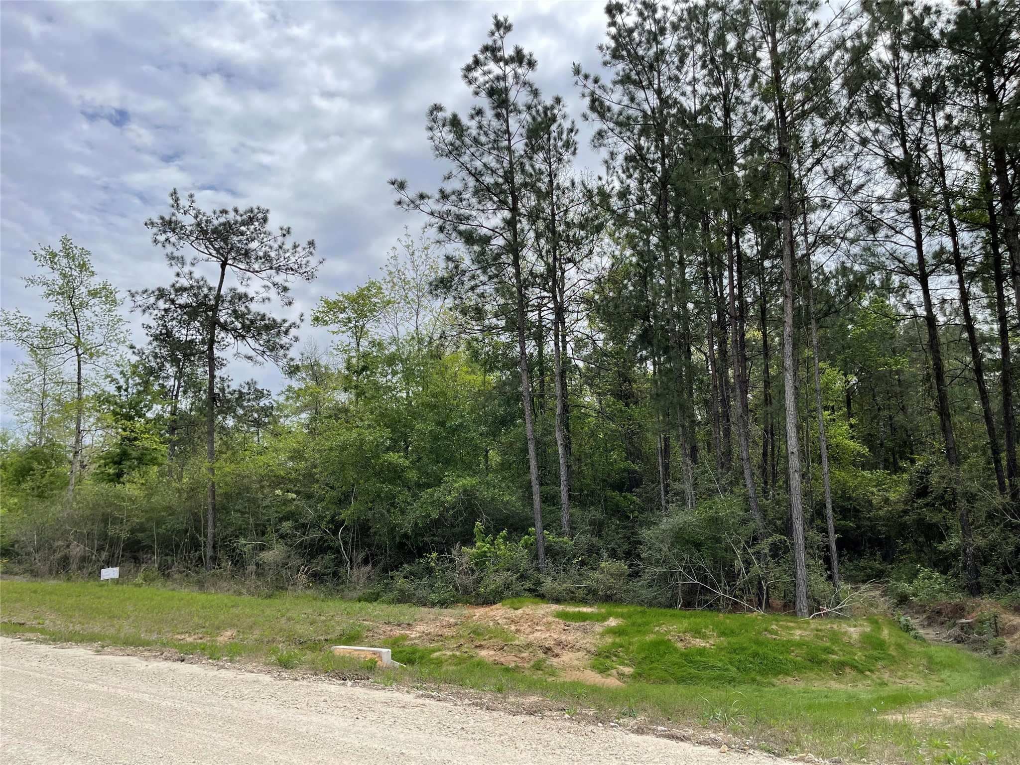 284 Iron Horse Road New Waverly, TX 77358 - Photo 9 of 15 a view of a swimming pool with a yard