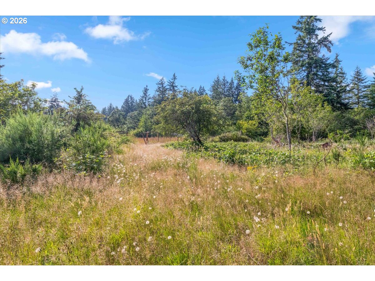 40450 South McCully Mountain Road Lyons, OR 97358 - Photo 23 of 34