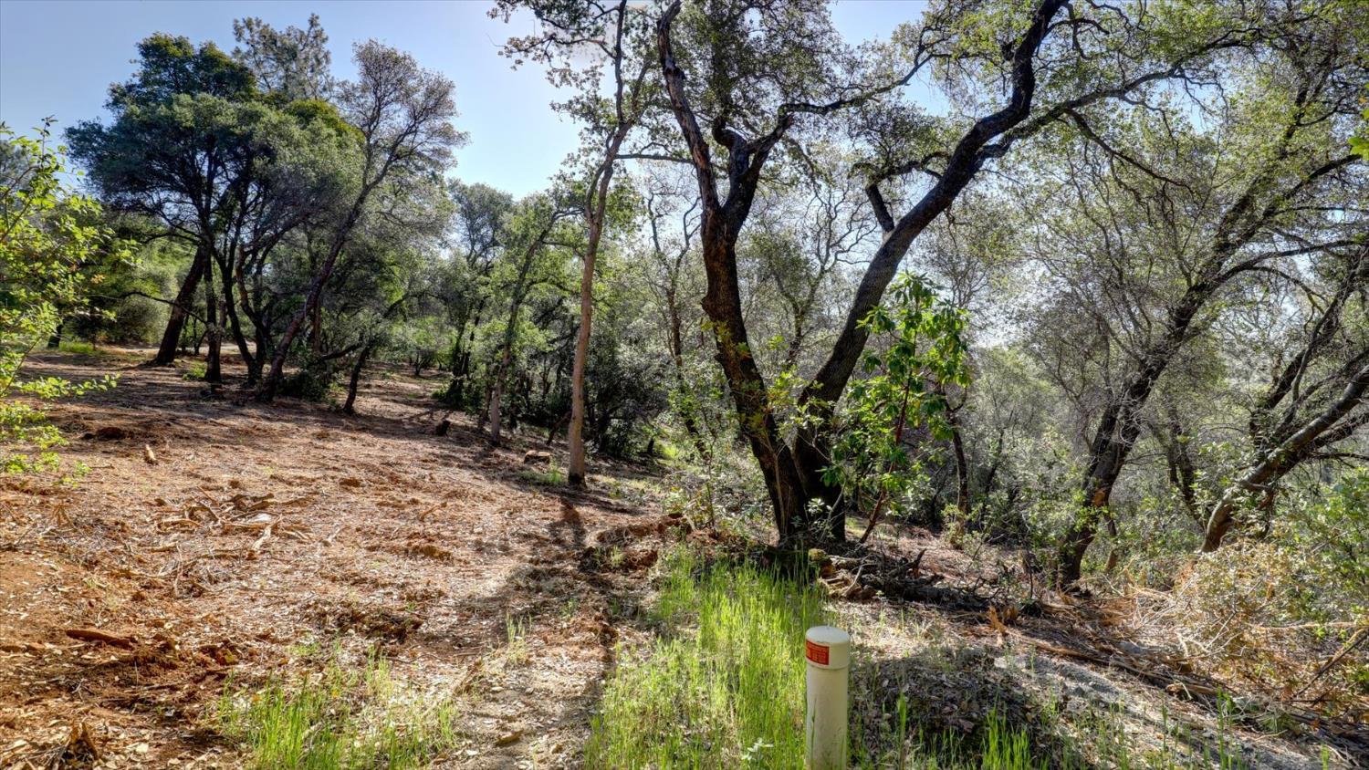 0 Southridge Road Penn Valley, CA 95946 - Photo 37 of 72