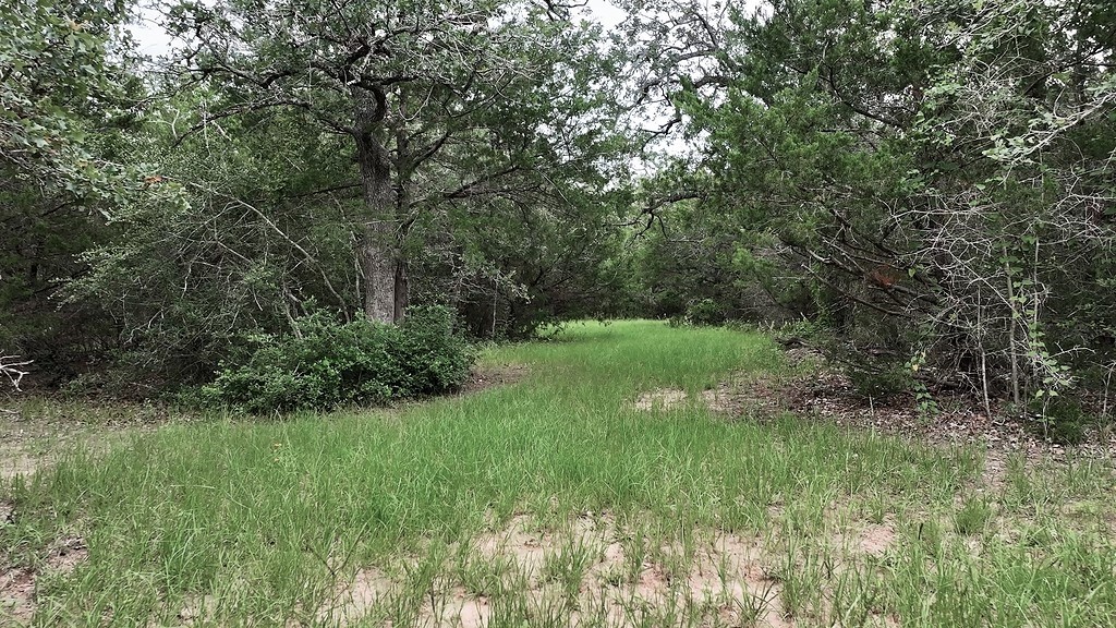 2625 Burke Road Flatonia, TX 78941 - Photo 13 of 19