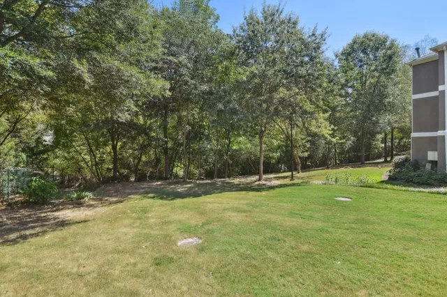 a view of a backyard with large trees