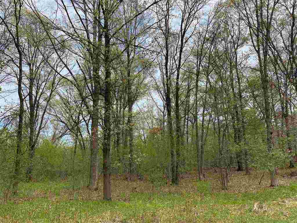 Lot 3 County Rd V Amherst, WI 54406 - Photo 1 of 1