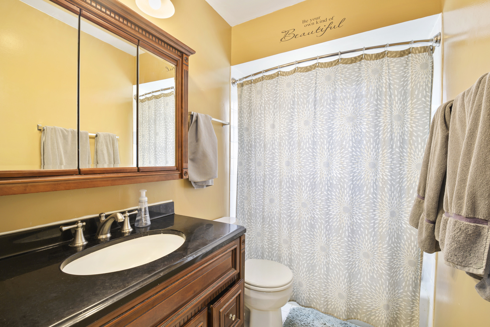 450 Galahad Road Bolingbrook, IL 60440 - Photo 14 of 23 a bathroom with a granite countertop sink and a mirror