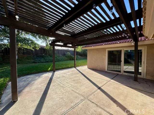 a view of a yard with plants and large trees