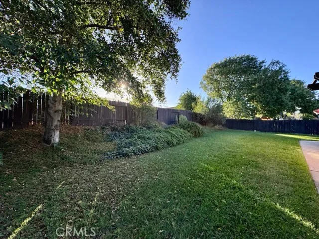 a backyard of a house with table and chairs plants and large tree