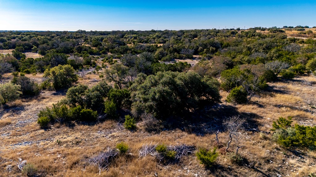 117 Hoffman Rd Mountain Mountain Home, TX 78058 - Photo 19 of 26