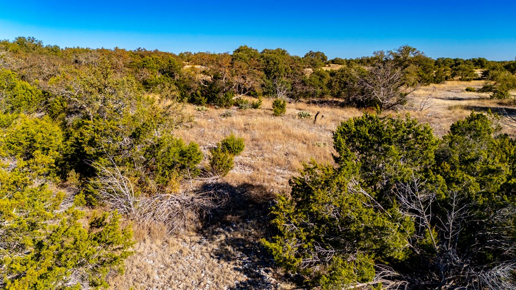 117 Hoffman Rd Mountain Mountain Home, TX 78058 - Photo 22 of 26