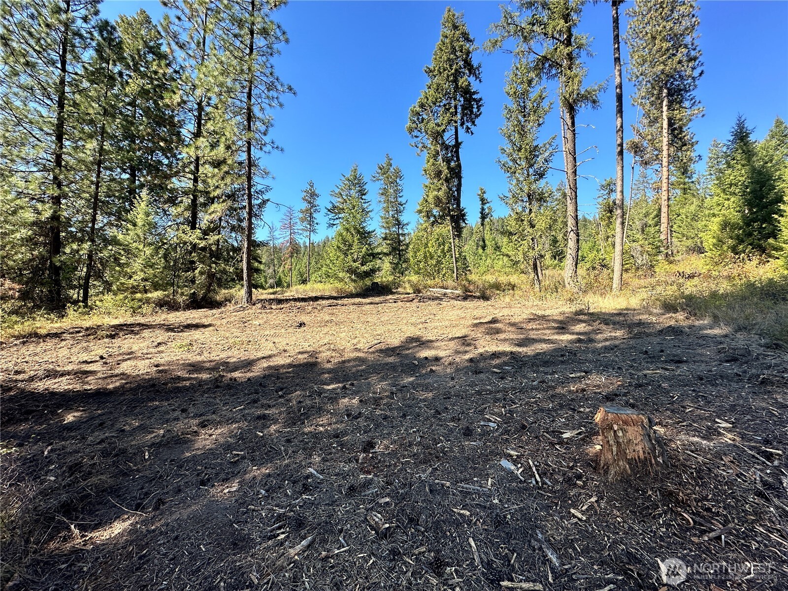 1 Deadman Creek Road Kettle Falls, WA 99141 - Photo 1 of 21 Gallery Image 1