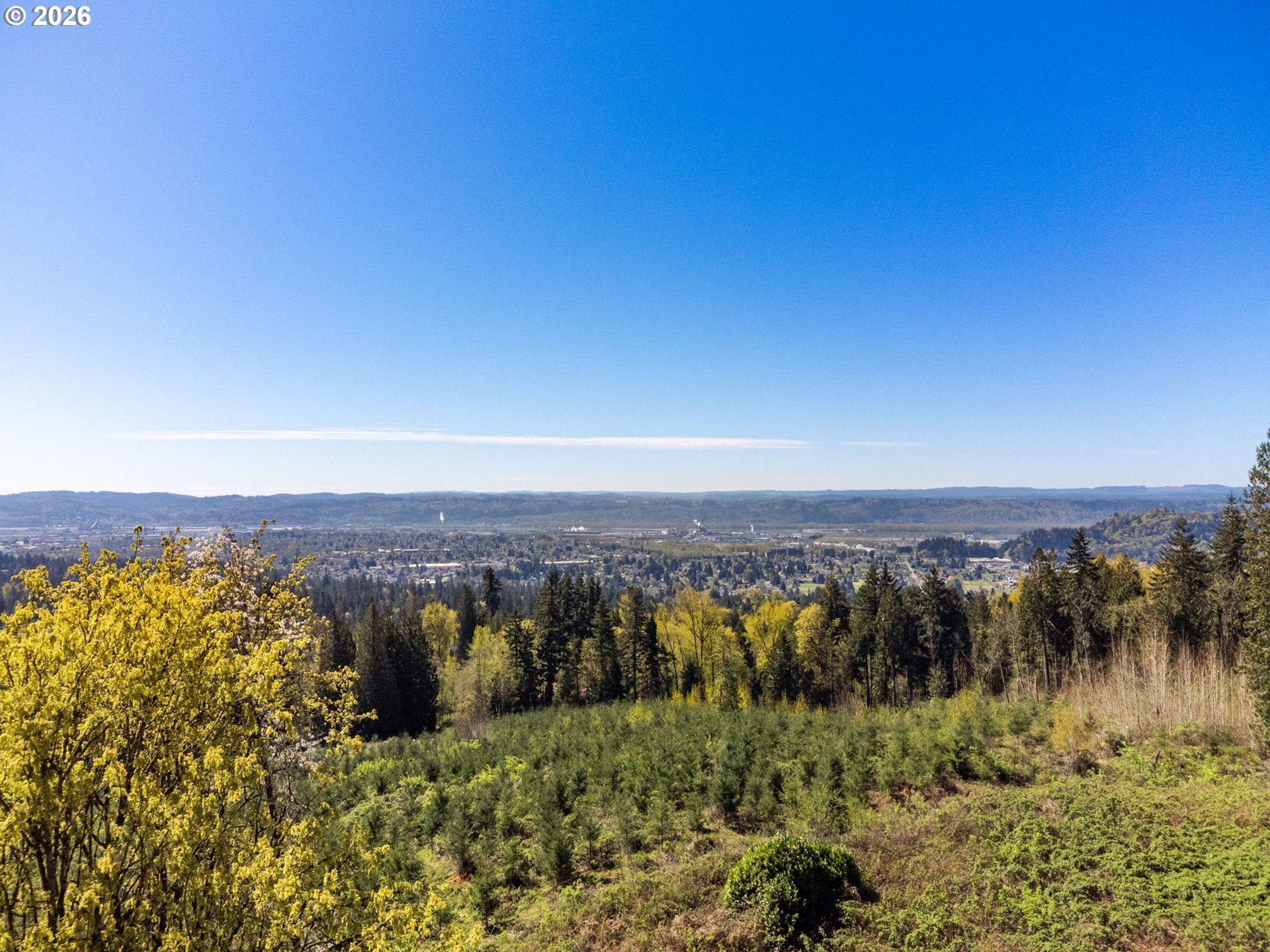 155 Grandview Terrace Longview, WA 98632 - Photo 43 of 48