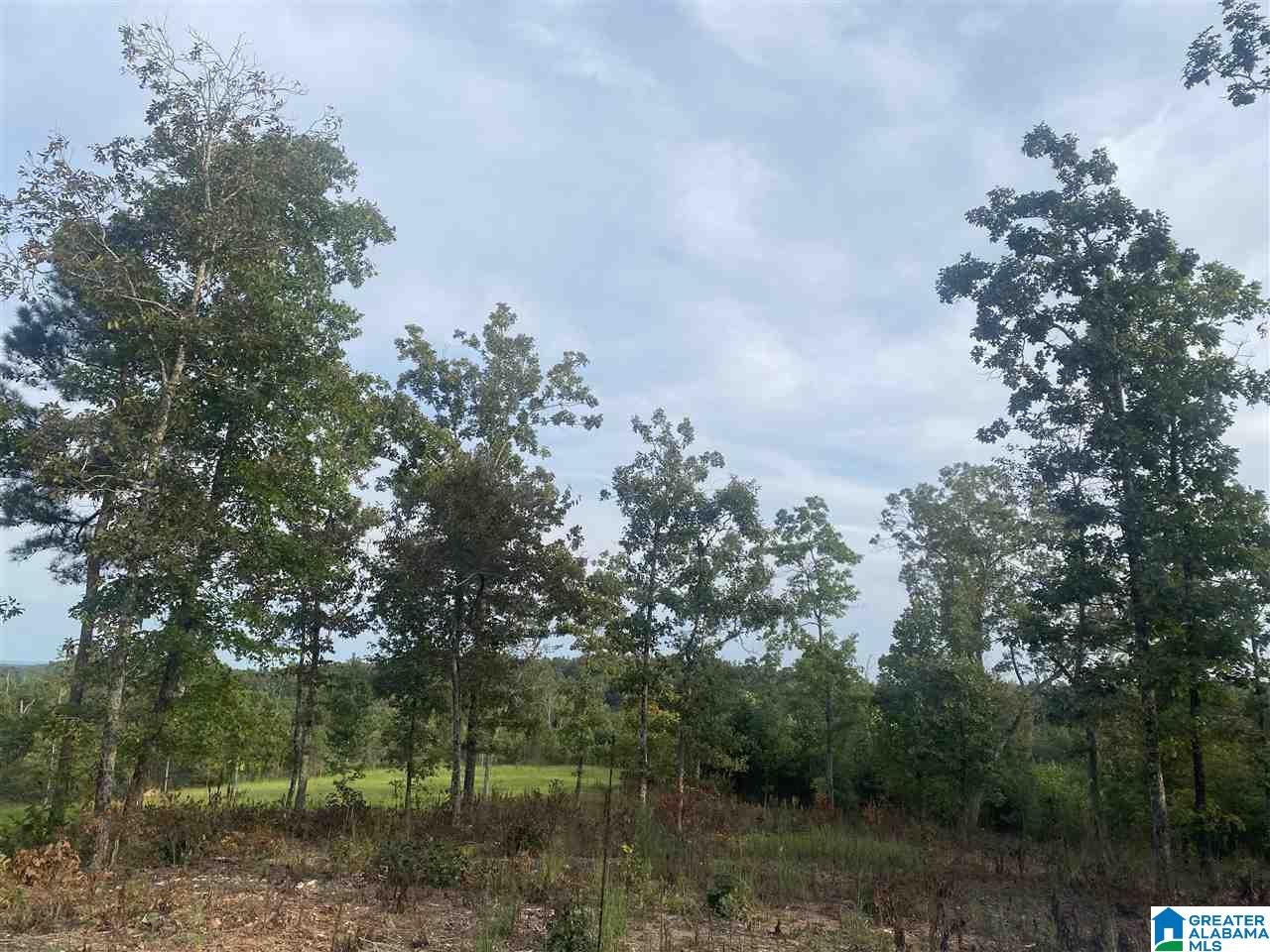 0 County Road 29, Unit 85 AC Wedowee, AL 36278 - Photo 4 of 6