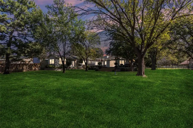 a view of a park with tree s