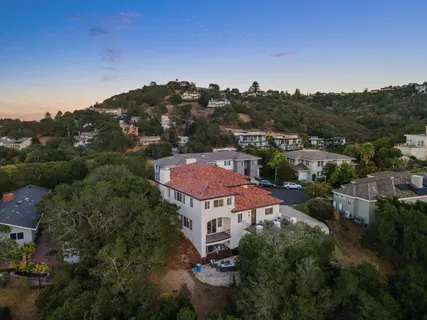 a spacious bedroom with a large bed and a potted plant