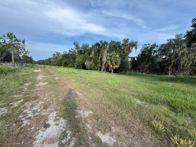 Pool Branch Road Fort Meade, FL 33841 - Photo 8 of 15 a view of a field with trees in background