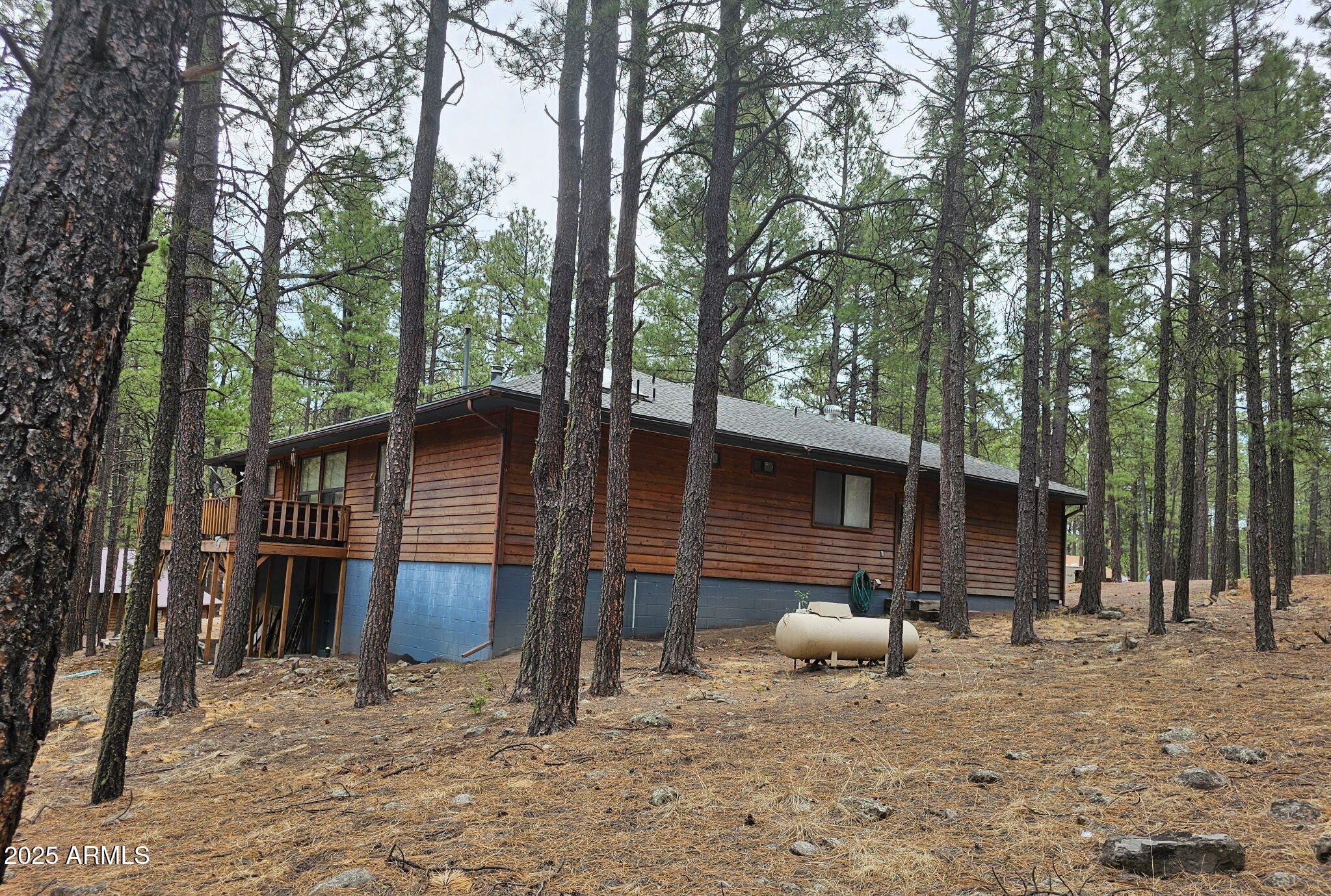 3 County Road 2089 Alpine, AZ 85920 - Photo 23 of 25 6792529807426015917