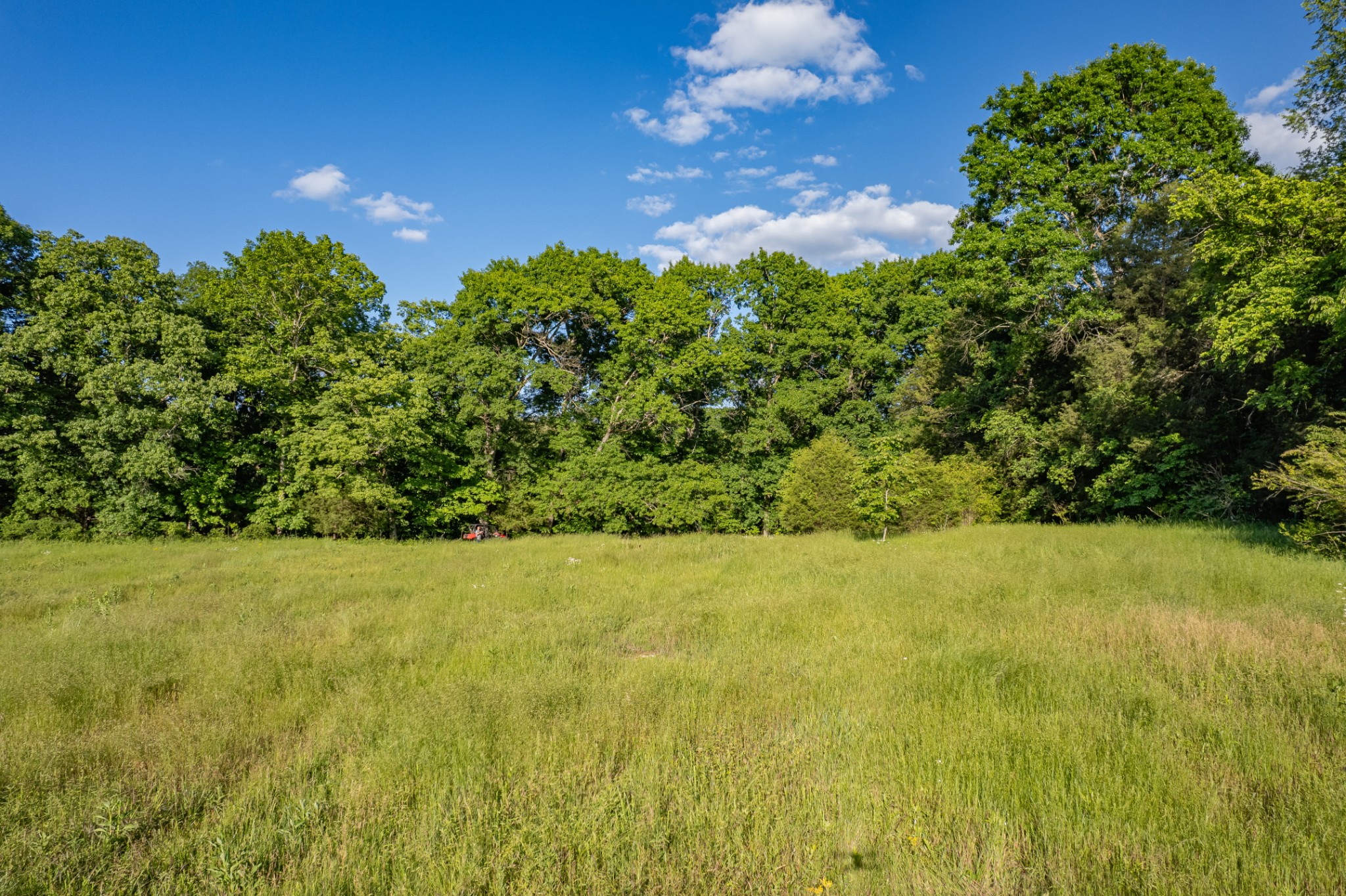 2195 Carpenter Bridge Road Columbia, TN 38401 - Photo 90 of 91 Gallery Image 90