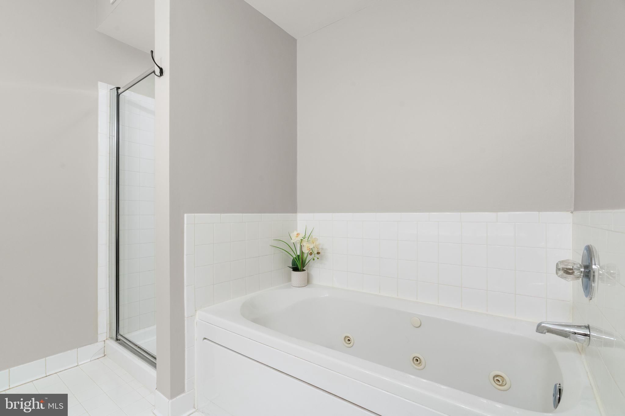 1860 Stratford Park Place, Unit 305 Reston, VA 20190 - Photo 30 of 35 Primary Ensuite with Soaking Tub
