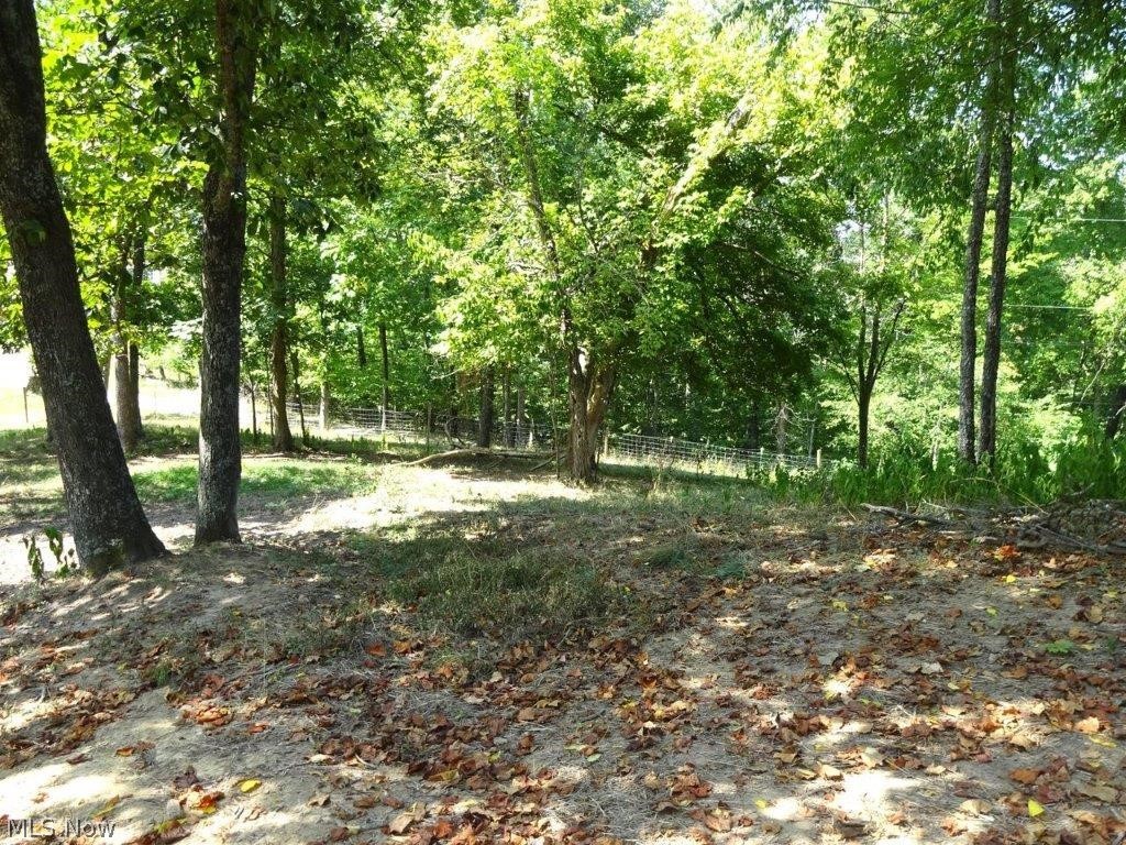 1701 Long Ridge Road Elkview, WV 25071 - Photo 8 of 50
