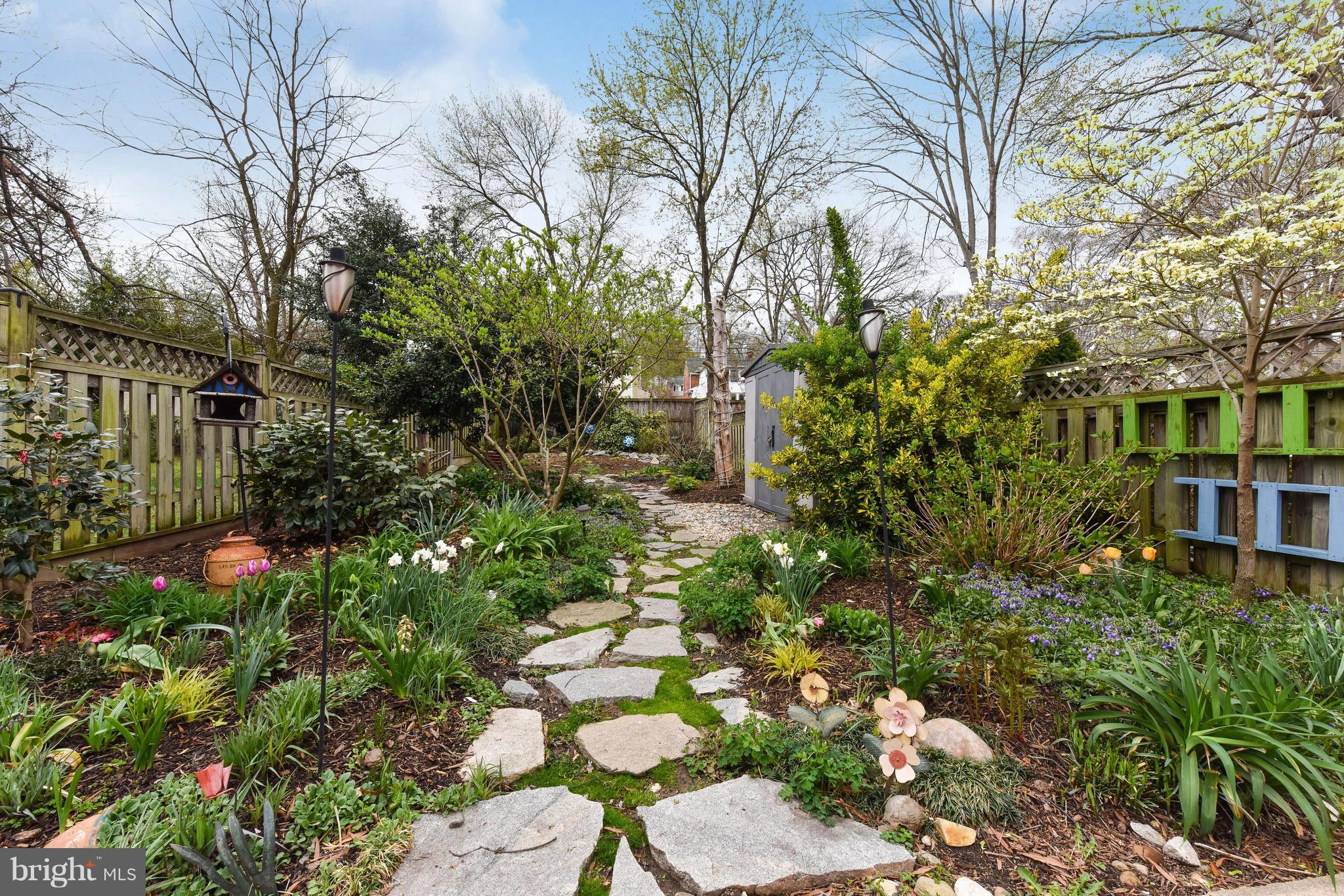 704 West Glebe Road Alexandria, VA 22305 - Photo 24 of 30 Personal urban oasis in lush garden