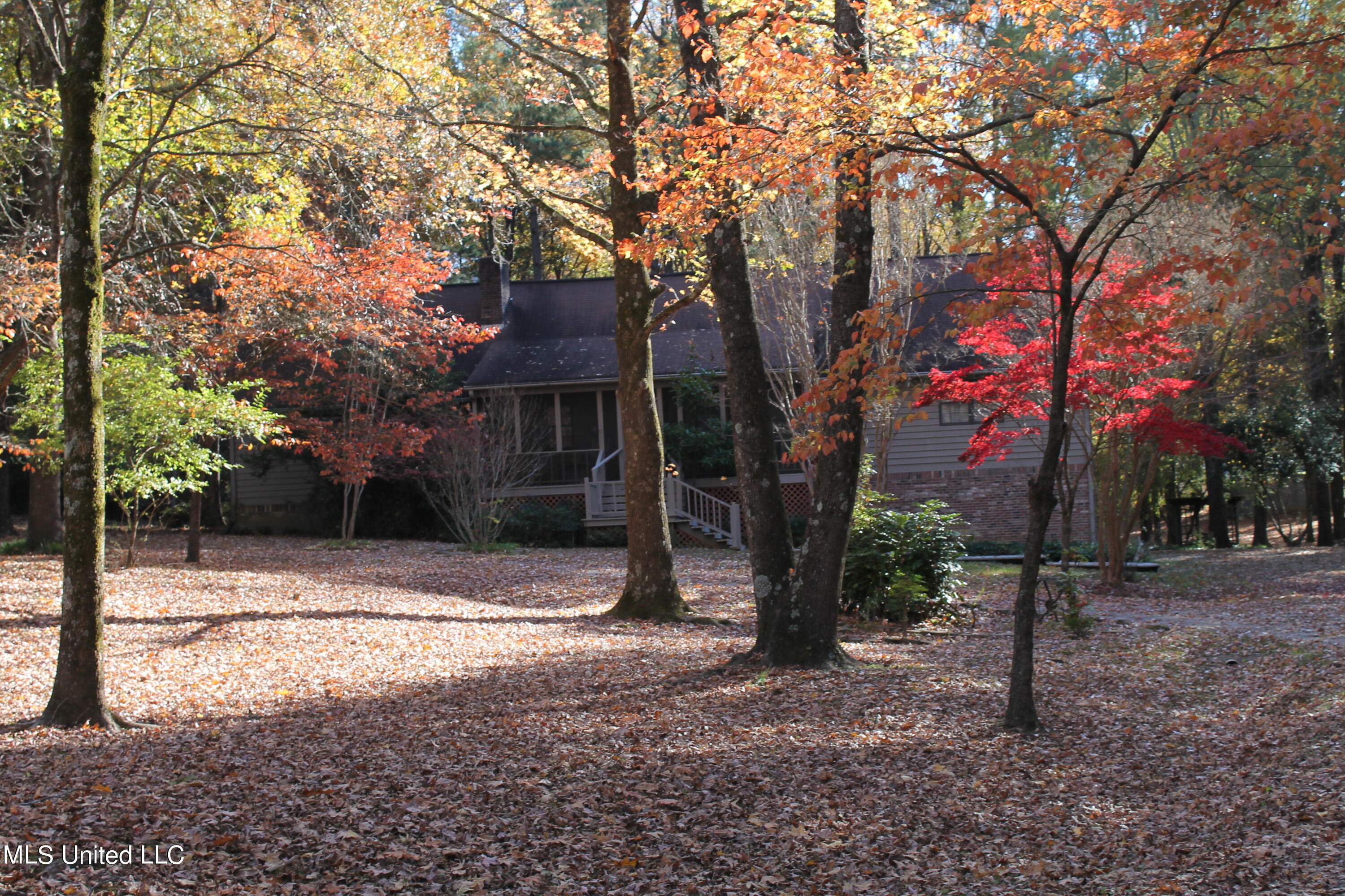3823 Liscott Road Southaven, MS 38672 - Photo 2 of 38 IMG_2692