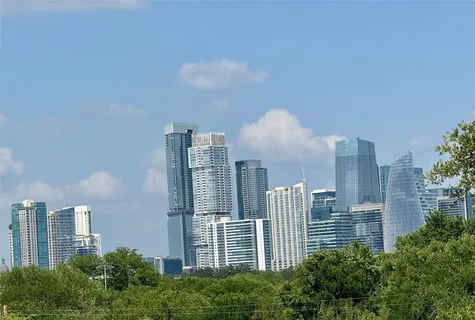 a view of a tree in a yard
