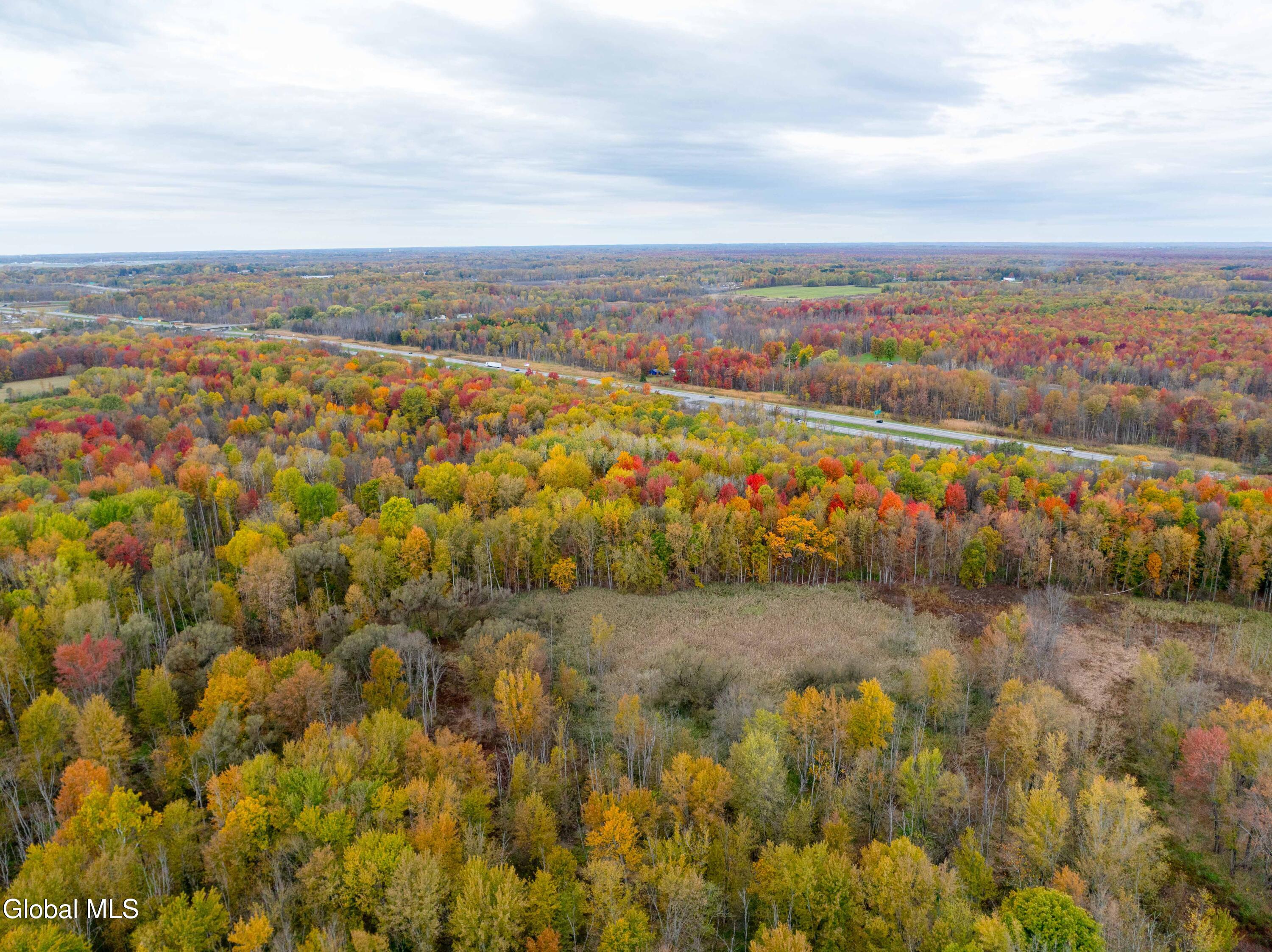 L8 Fremont Road East Syracuse, NY 13057 - Photo 13 of 17 E. Syracuse Fremont Rd-5