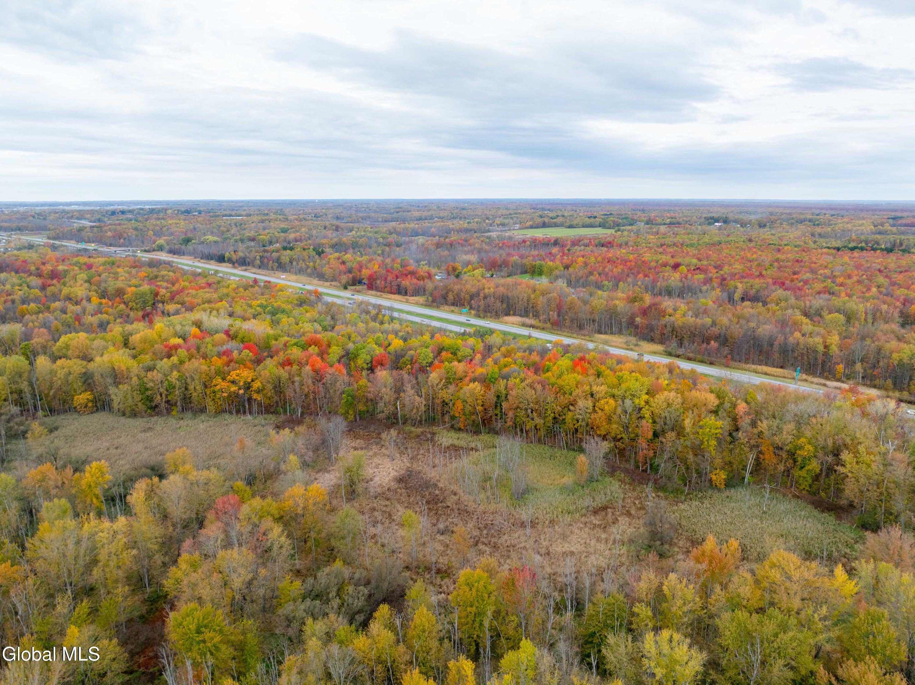 L8 Fremont Road East Syracuse, NY 13057 - Photo 15 of 17 E. Syracuse Fremont Rd-3