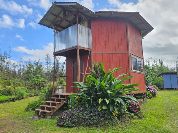 a view of a backyard with plants