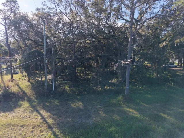 a backyard of a house with lots of green space