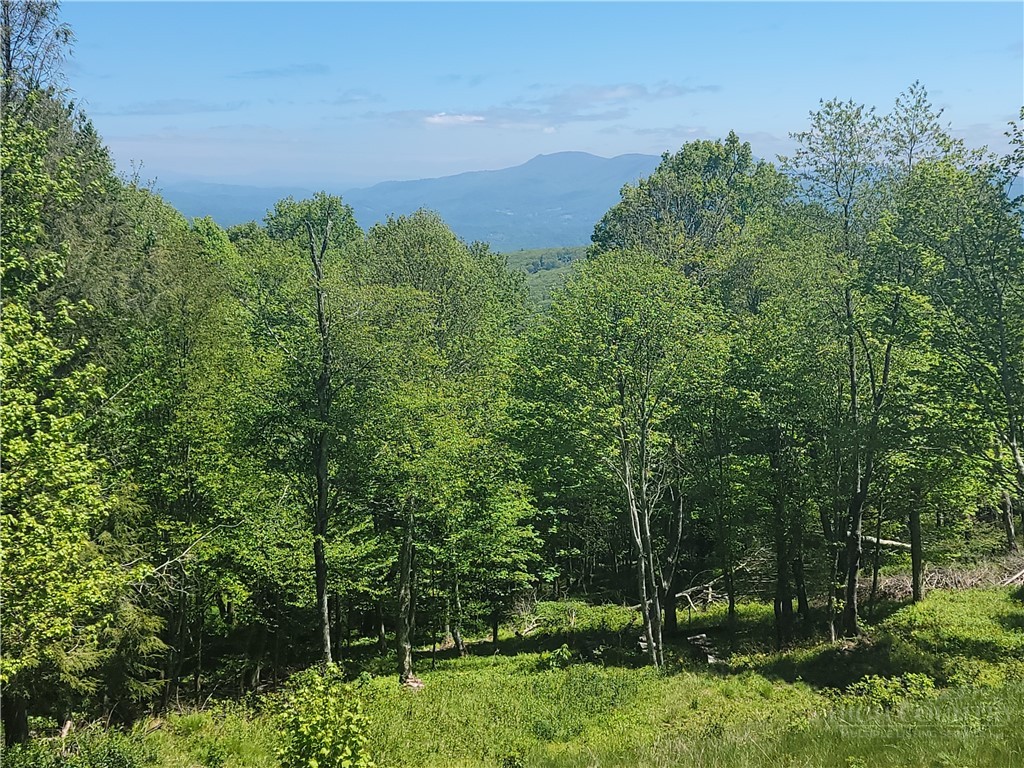 Foxfire Drive Banner Elk, NC 28604 - Photo 2 of 4