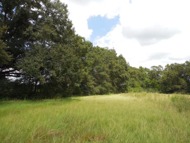 103 Slocomb Al Slocomb, AL 36375 - Photo 1 of 1