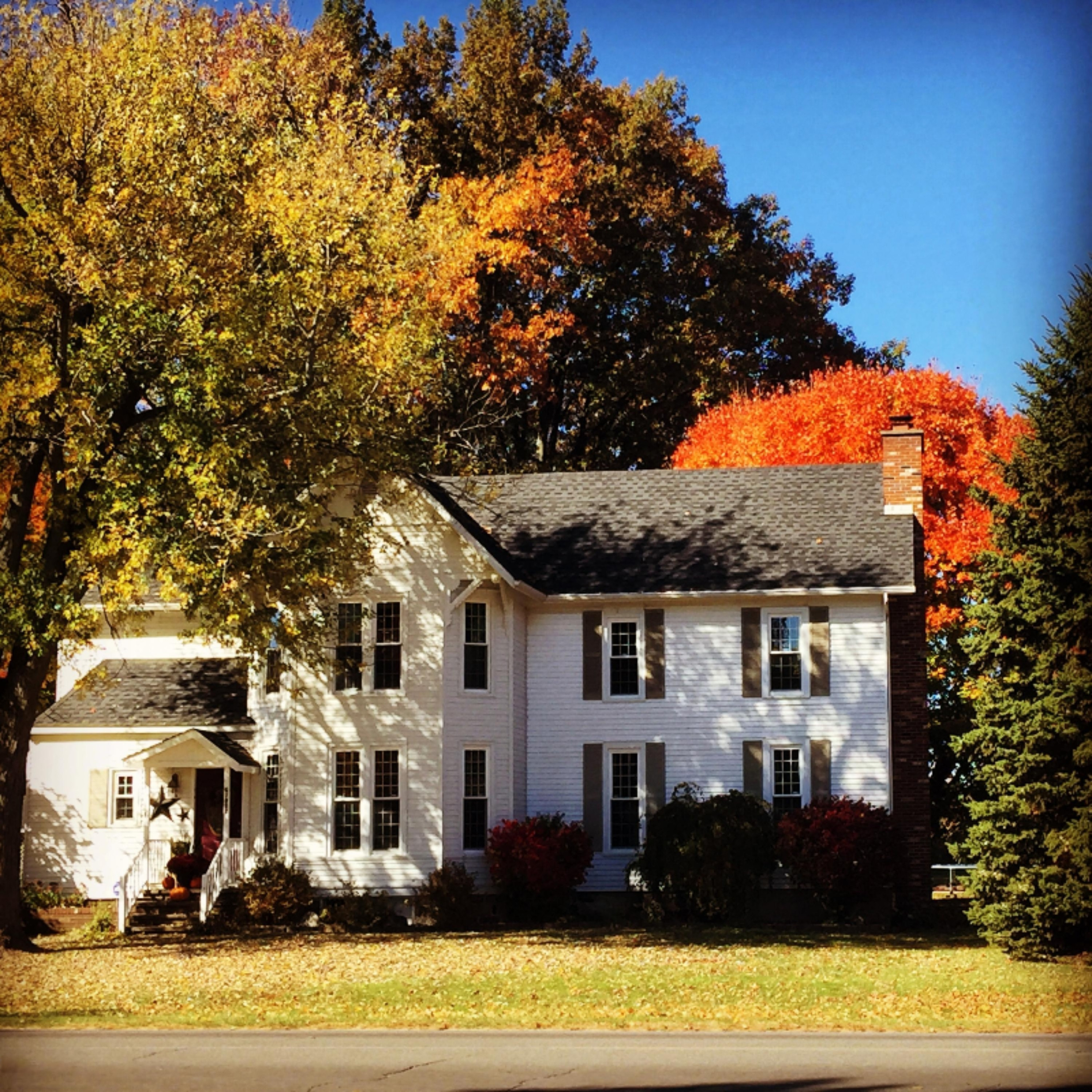 60982 Farrand Road Burr Oak, MI 49030 - Photo 1 of 15 Wagner