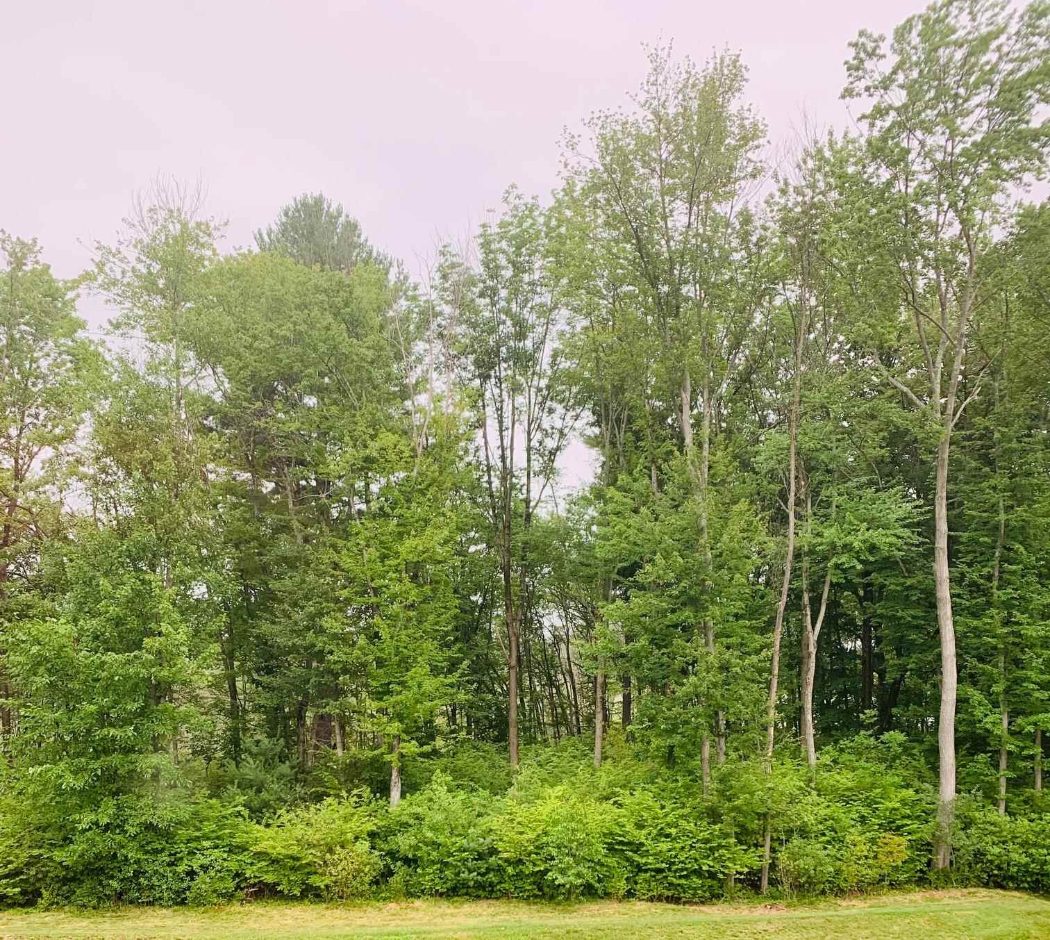 11 Renaissance Circle Salem, NH 03079 - Photo 6 of 17