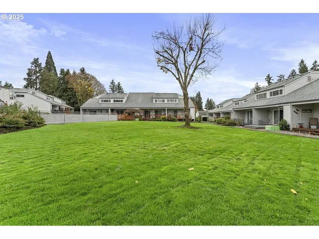 a backyard of a house with plants and large trees