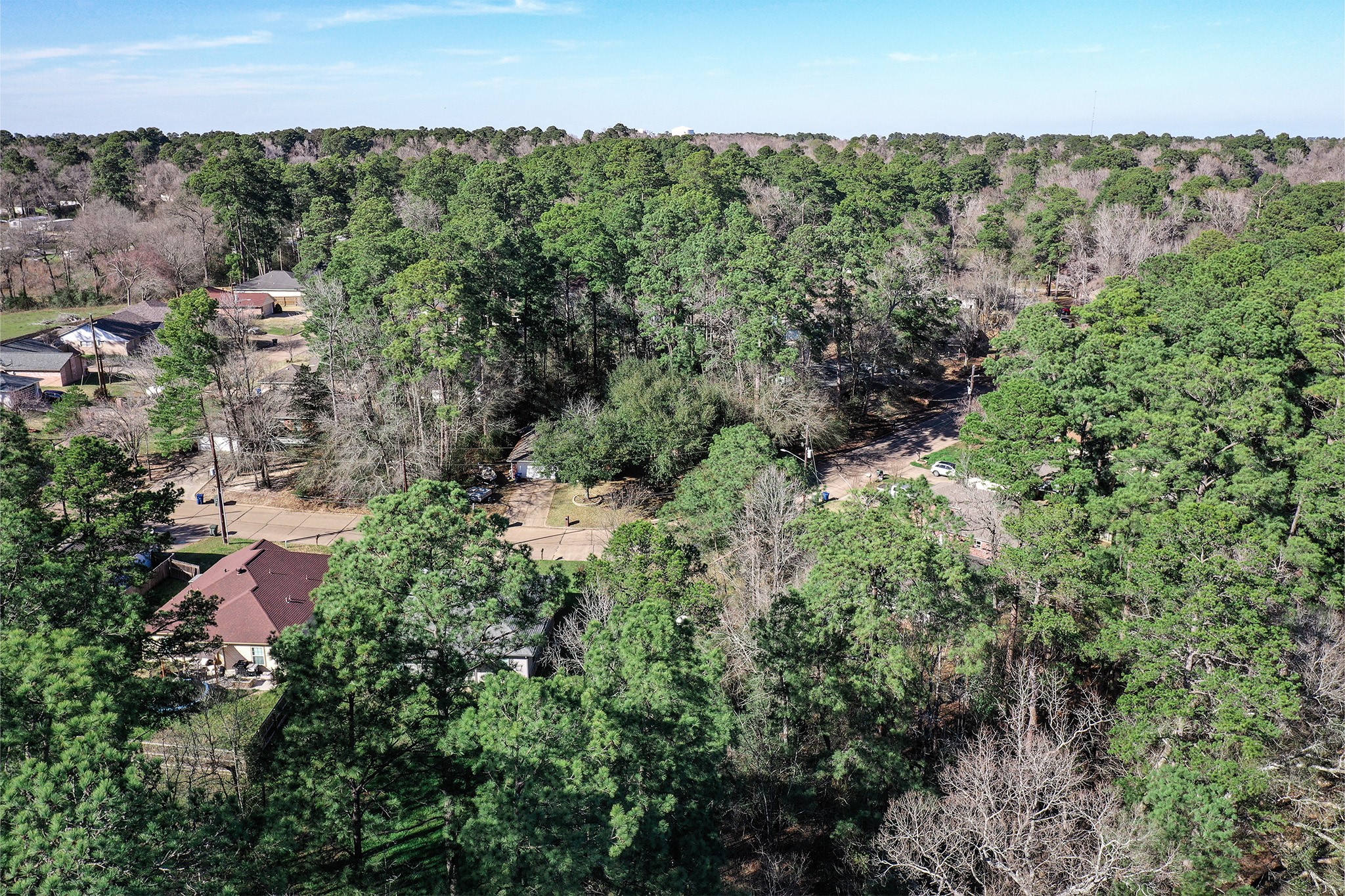 3138 Winding Way Huntsville, TX 77340 - Photo 4 of 9